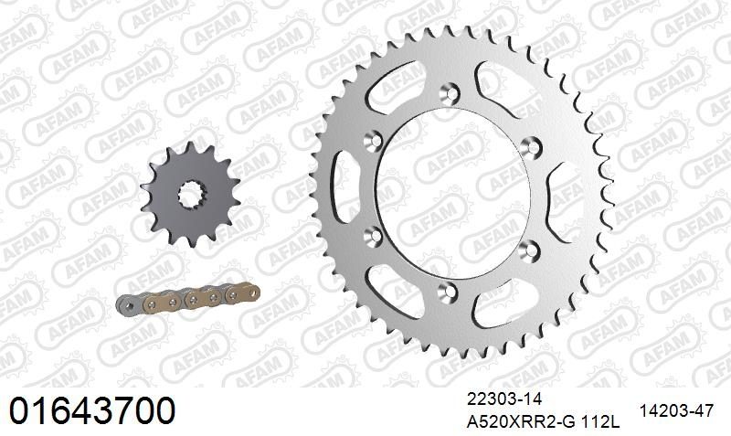 520XRR3 112 ARS (CLIP) GOLD & SPROCKETS