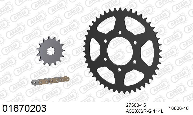 520XSR 114 MRS (RIVET) GOLD & SPROCKETS