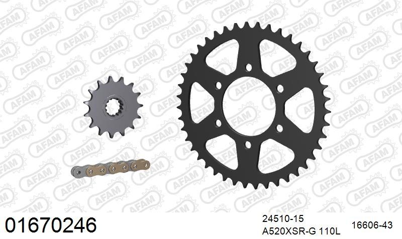 520XSR 110 MRS (RIVET) GOLD & SPROCKETS