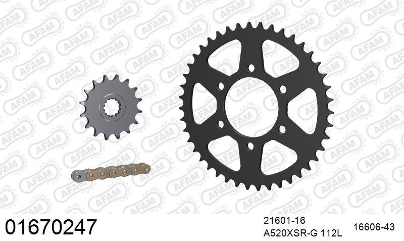 520XSR 112 MRS (RIVET) GOLD & SPROCKETS