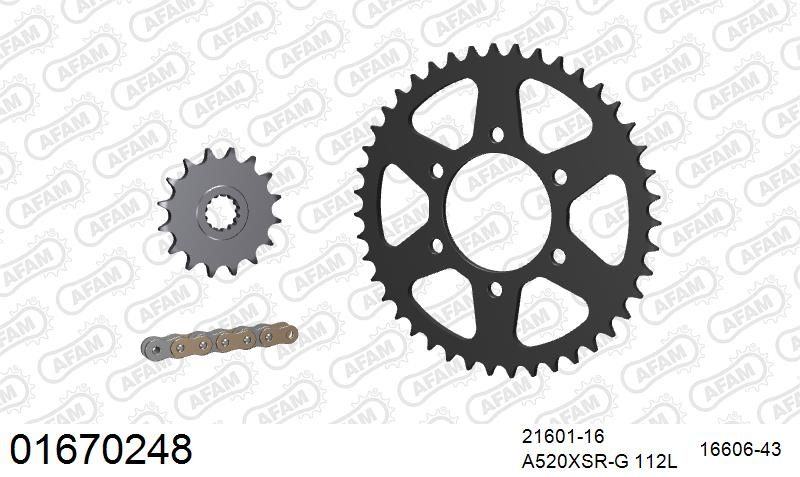 520XSR 112 MRS (RIVET) GOLD & SPROCKETS