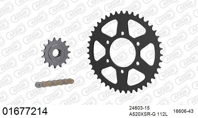 520XSR 112 MRS (RIVET) GOLD & SPROCKETS