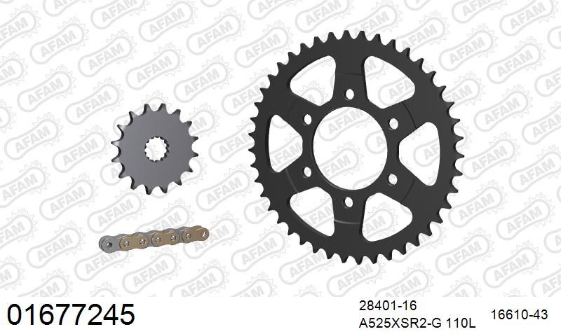 525XSR2 110 MRS (RIVET) GOLD & SPROCKETS