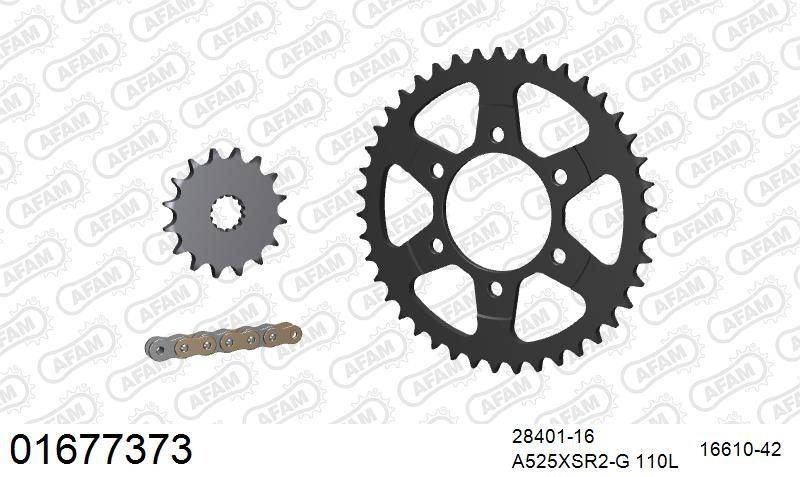 525XSR2 110 MRS (RIVET) GOLD & SPROCKETS