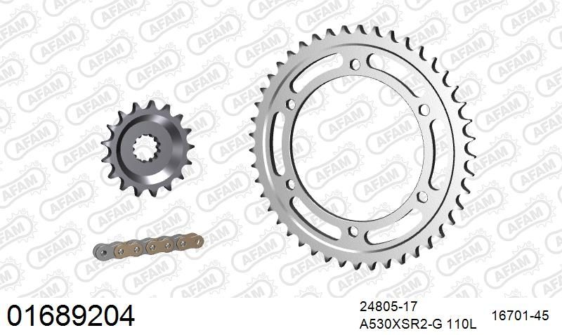 530XSR2 110 MRS (RIVET) GOLD & SPROCKETS