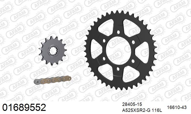 525XSR2 116 MRS (RIVET) GOLD & SPROCKETS