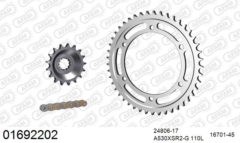 530XSR2 110 MRS (RIVET) GOLD & SPROCKETS