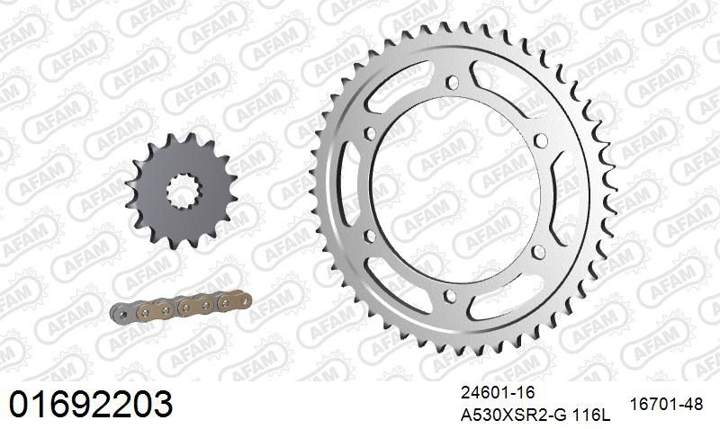530XSR2 116 MRS (RIVET) GOLD & SPROCKETS