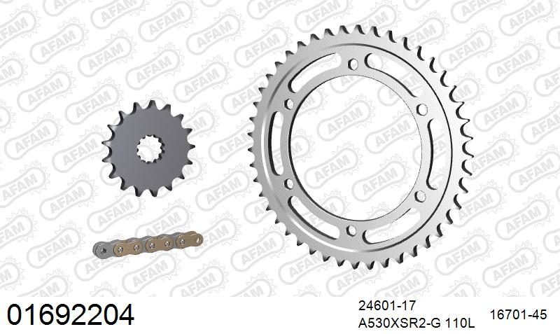 530XSR2 110 MRS (RIVET) GOLD & SPROCKETS