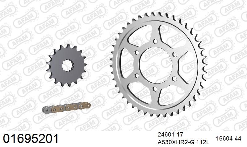 530XHR2 112 MRS (RIVET) GOLD & SPROCKETS