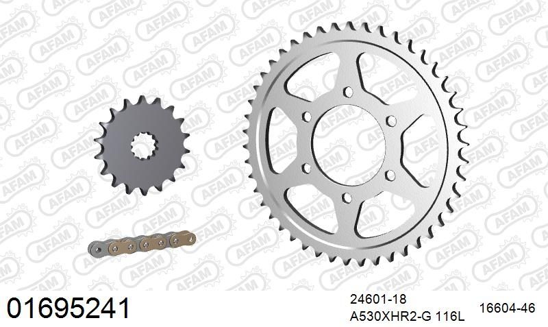 530XHR2 116 MRS (RIVET) GOLD & SPROCKETS