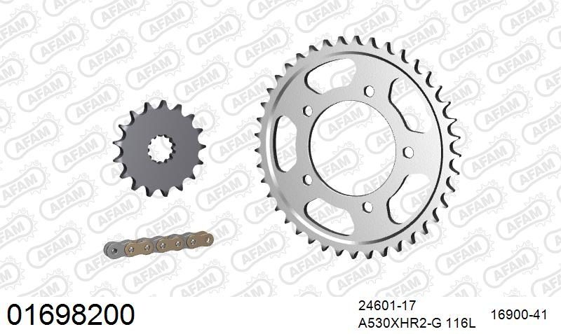 530XHR2 116 MRS (RIVET) GOLD & SPROCKETS