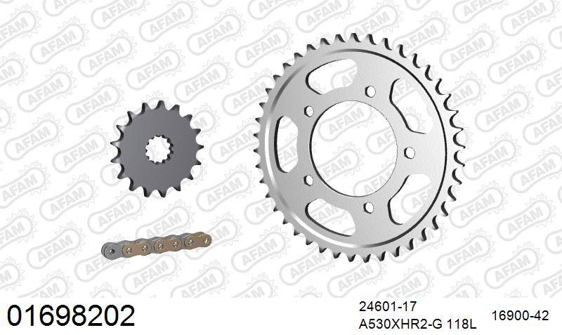 530XHR2 118 MRS (RIVET) GOLD & SPROCKETS