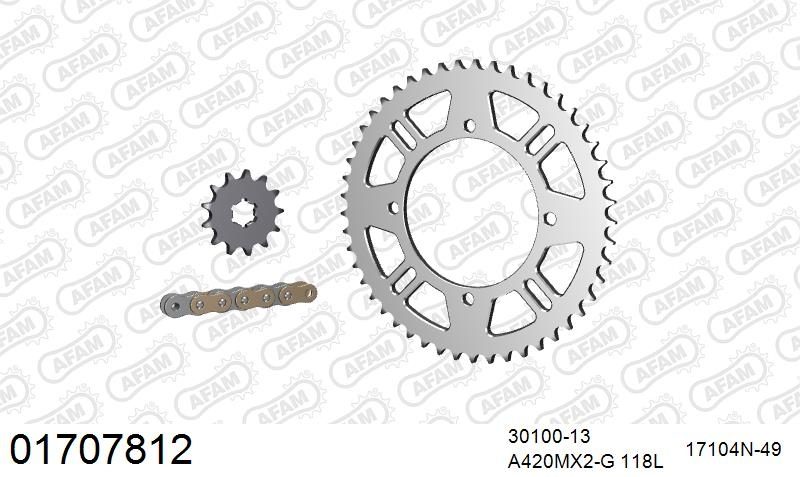 420MX2 118 AR (CLIP) GOLD & SPROCKETS