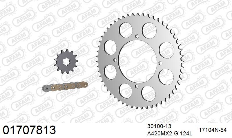 420MX2 124 AR (CLIP) GOLD & SPROCKETS