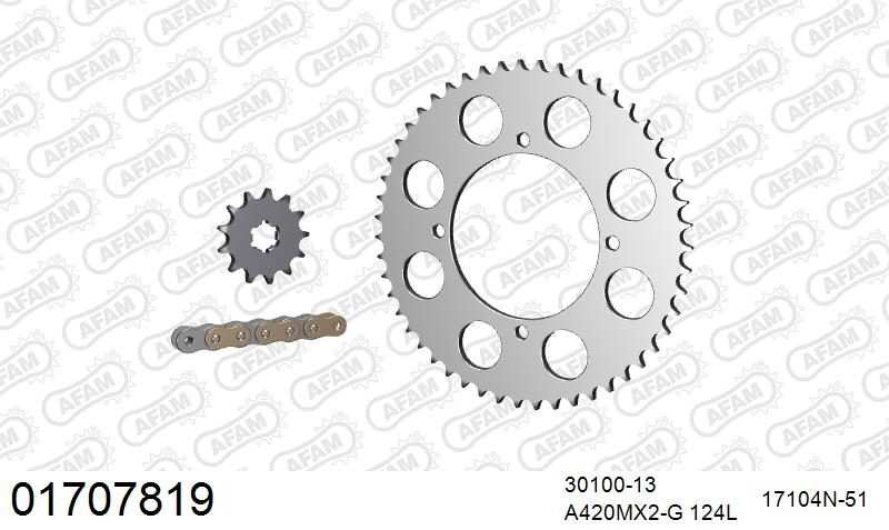420MX2 124 AR (CLIP) GOLD & SPROCKETS