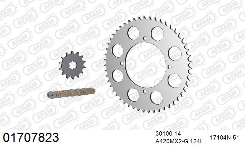 420MX2 124 AR (CLIP) GOLD & SPROCKETS