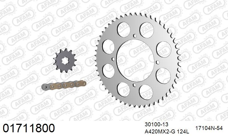 420MX2 124 AR (CLIP) GOLD & SPROCKETS