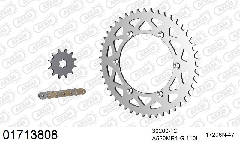 520MR2 110 ARS (CLIP) GOLD & SPROCKETS