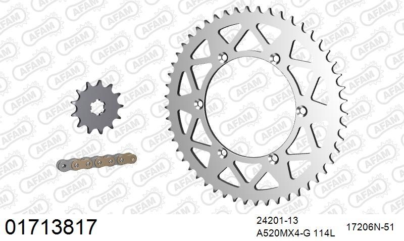 520MR2 114 ARS (CLIP) GOLD & SPROCKETS