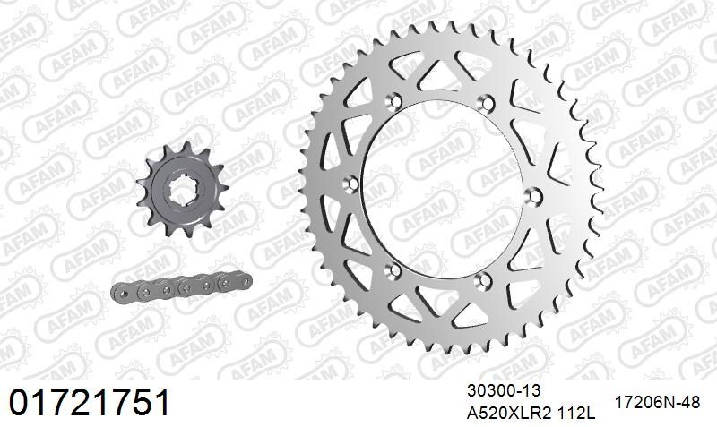 520XRR3 112 ARS (CLIP) GOLD & SPROCKETS