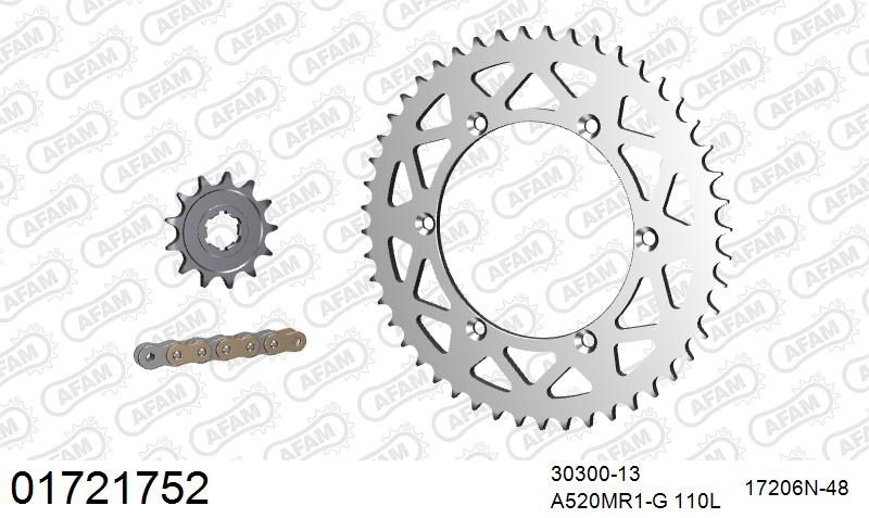 520XRR3 110 ARS (CLIP) GOLD & SPROCKETS