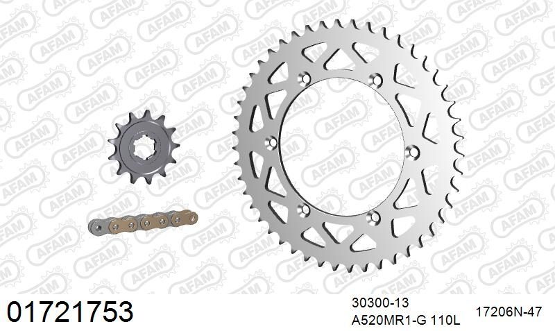 520XRR3 110 ARS (CLIP) GOLD & SPROCKETS