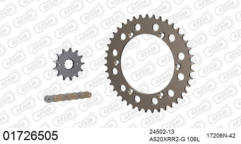 520XRR3 106 ARS (CLIP) GOLD & SPROCKETS