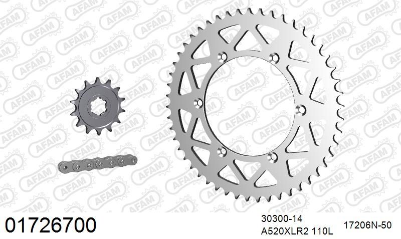 520XRR3 110 ARS (CLIP) GOLD & SPROCKETS