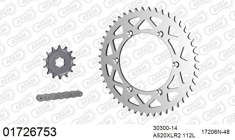 520XRR3 112 ARS (CLIP) GOLD & SPROCKETS