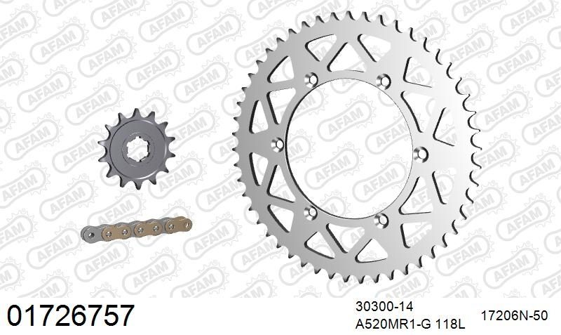 520XRR3 118 ARS (CLIP) GOLD & SPROCKETS