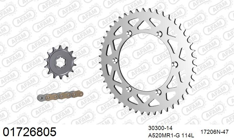 520MR2 114 ARS (CLIP) GOLD & SPROCKETS