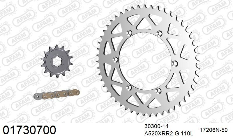 520XRR3 110 ARS (CLIP) GOLD & SPROCKETS