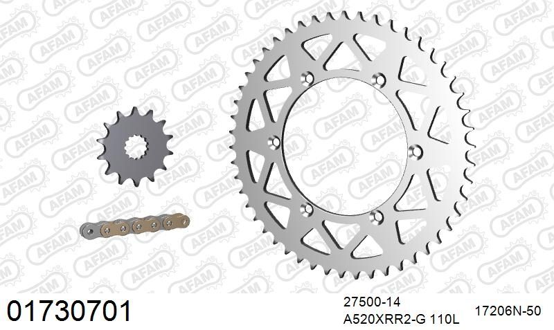 520XRR3 110 ARS (CLIP) GOLD & SPROCKETS