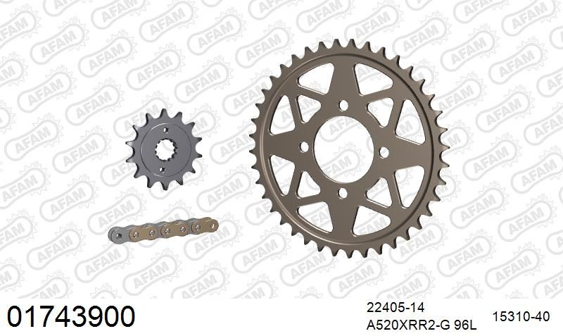 520XRR3 96 ARS (CLIP) GOLD & SPROCKETS