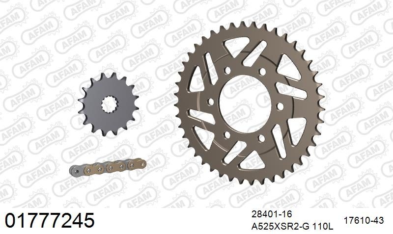525XSR2 110 MRS (RIVET) GOLD & SPROCKETS