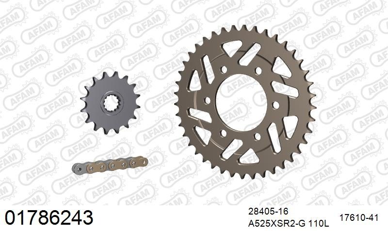 525XSR2 110 MRS (RIVET) GOLD & SPROCKETS