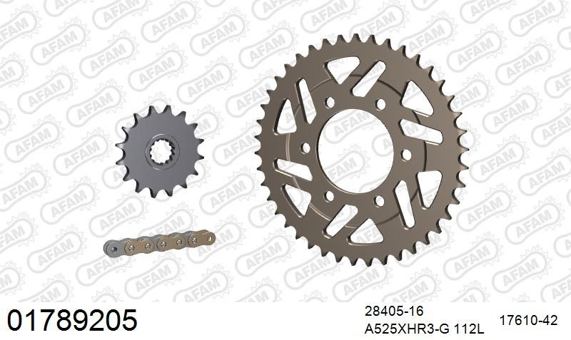 525XHR3 112 MRS (RIVET) GOLD & SPROCKETS