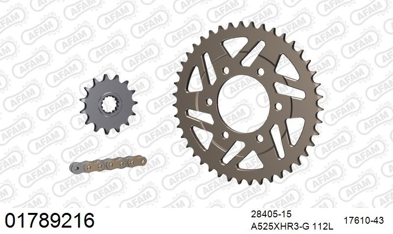 525XHR3 112 MRS (RIVET) GOLD & SPROCKETS