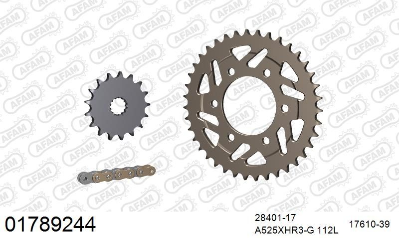 525XHR3 112 MRS (RIVET) GOLD & SPROCKETS