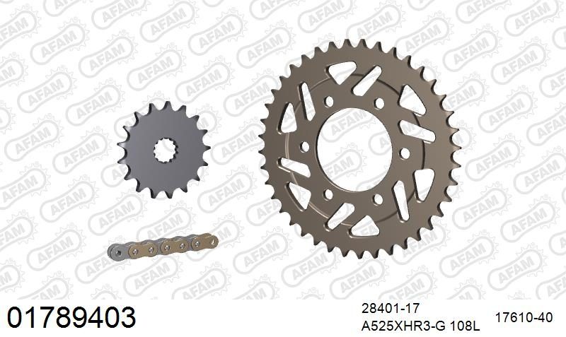 525XHR3 108 MRS (RIVET) GOLD & SPROCKETS