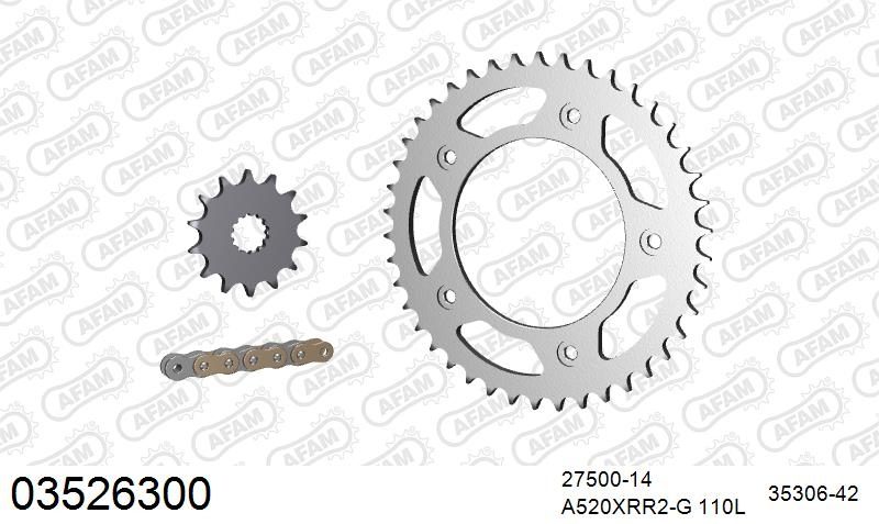 520XRR3 110 ARS (CLIP) GOLD & SPROCKETS