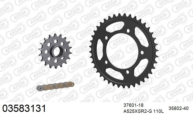 525XSR2 110 MRS (RIVET) GOLD & SPROCKETS
