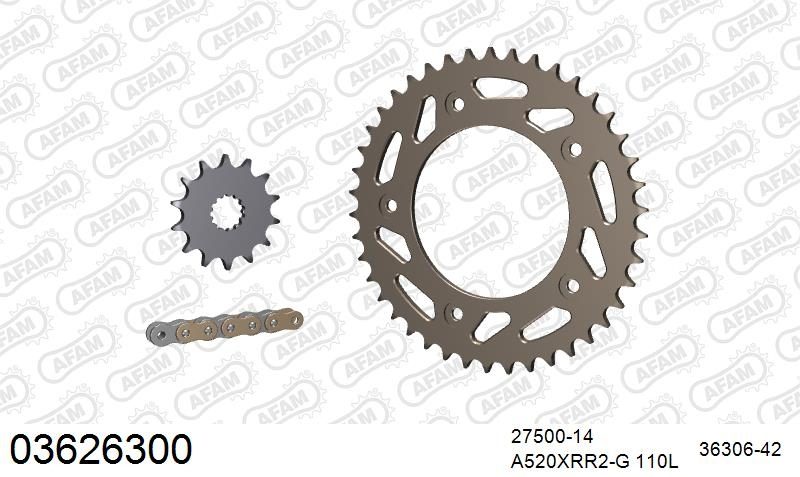 520XRR3 110 ARS (CLIP) GOLD & SPROCKETS
