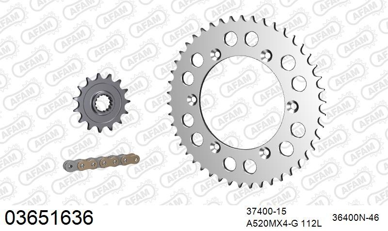 520XRR3 112 ARS (CLIP) GOLD & SPROCKETS