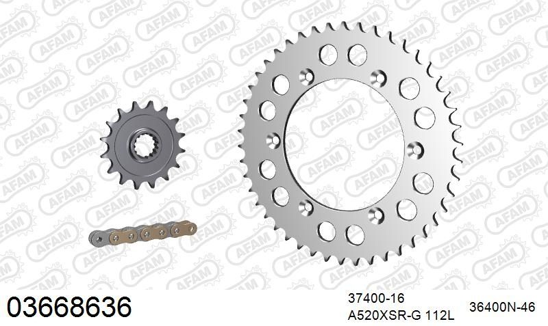 520XSR 112 MRS (RIVET) GOLD & SPROCKETS