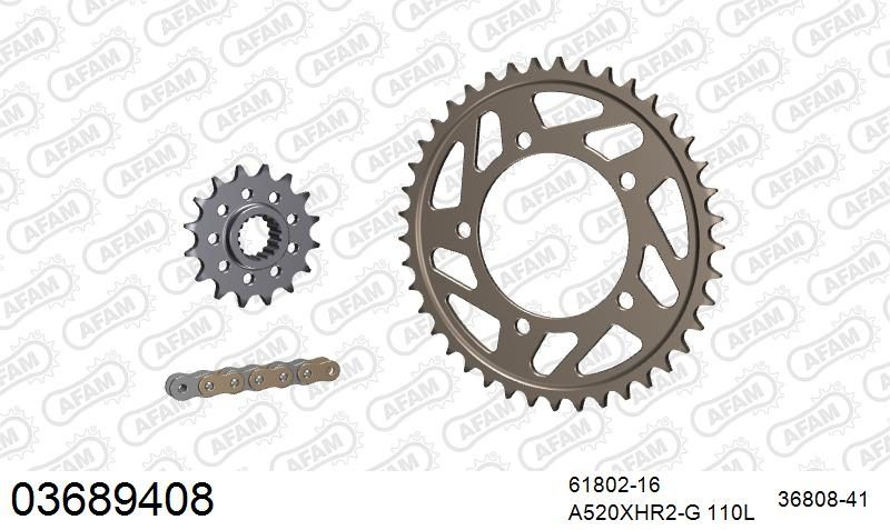 520XHR2 110 MRS (RIVET) GOLD & SPROCKETS