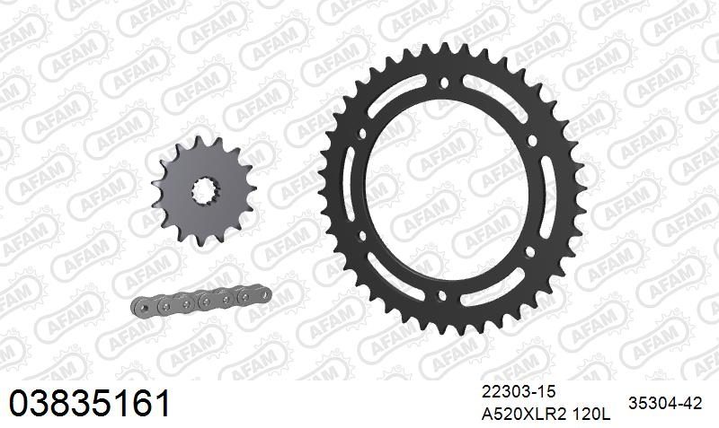 520XRR3 120 ARS (CLIP) GOLD & SPROCKETS
