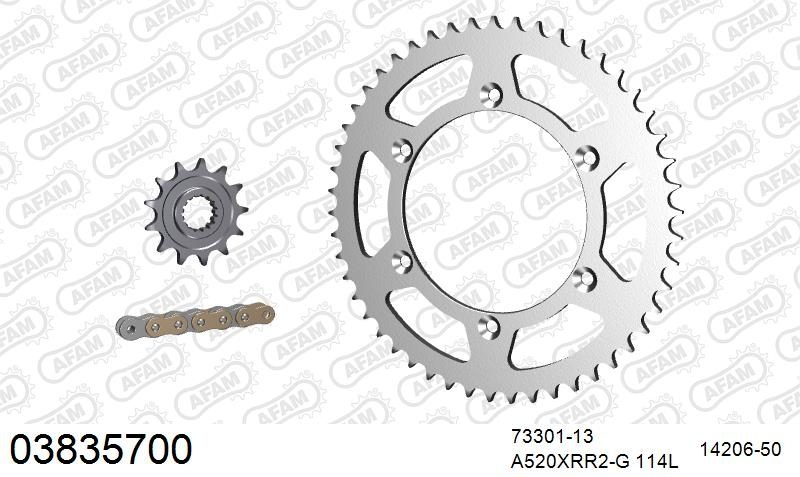 520XRR3 114 ARS (CLIP) GOLD & SPROCKETS
