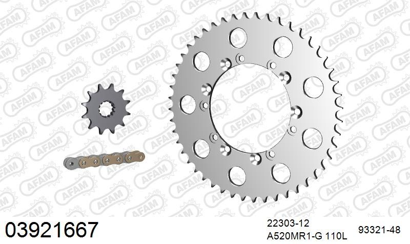 520MR2 110 ARS (CLIP) GOLD & SPROCKETS